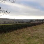 Opposition to plans for homes on farmland…