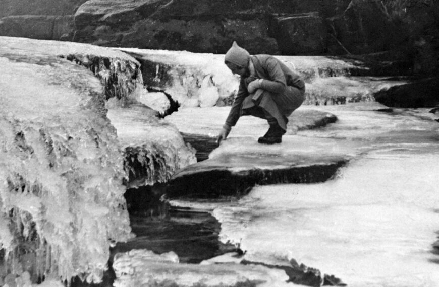 Mystery picture of a frozen&hellip;