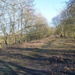 New paths could signal start of railway…