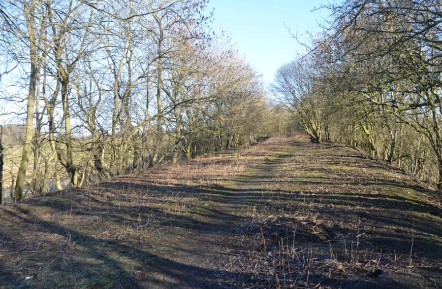 New paths could signal start of railway walk