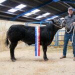 Champion heifer sells for a Barnard Castle&hellip;