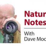 Nature notes – Teesdale is home to&hellip;