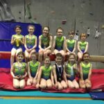 Young gymnasts show talent in competition