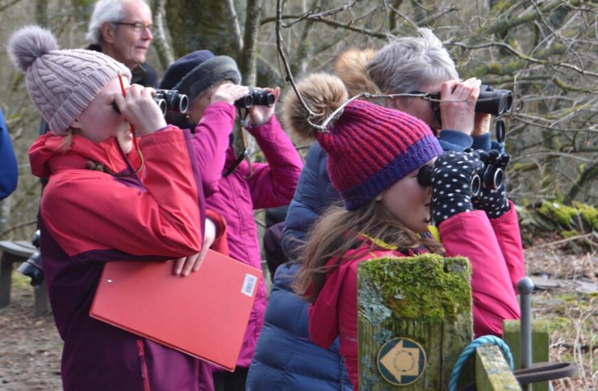 Wildlife watchers enjoy a flight&hellip;