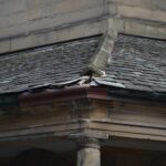 How long can damage to Market Cross&hellip;