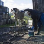 Ignore our farmers’ nous at your peril