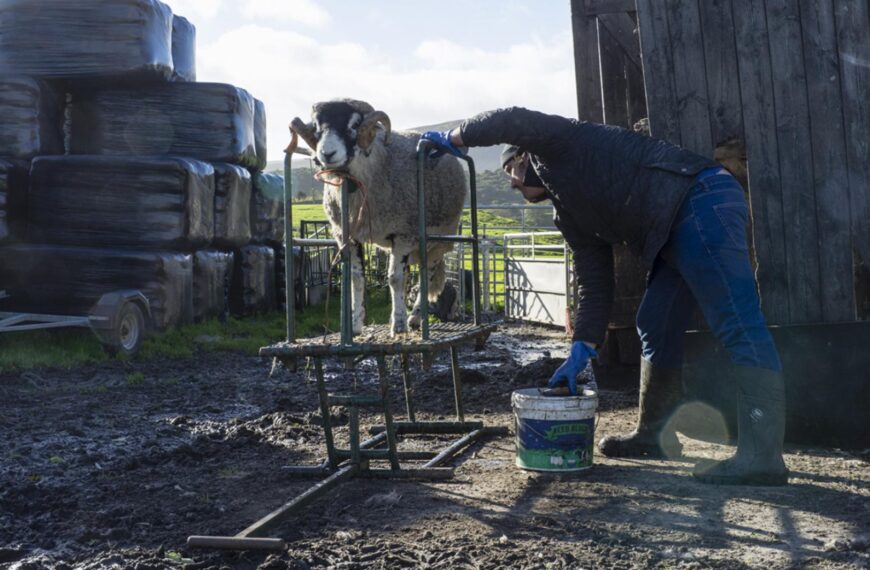 Ignore our farmers’ nous at&hellip;