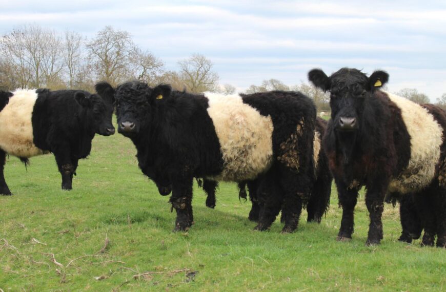 How Ulnaby Farm Shop and&hellip;