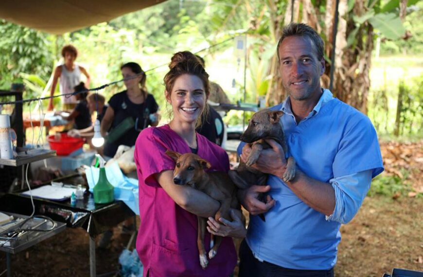 Stray dog vet Janey Lowes&hellip;
