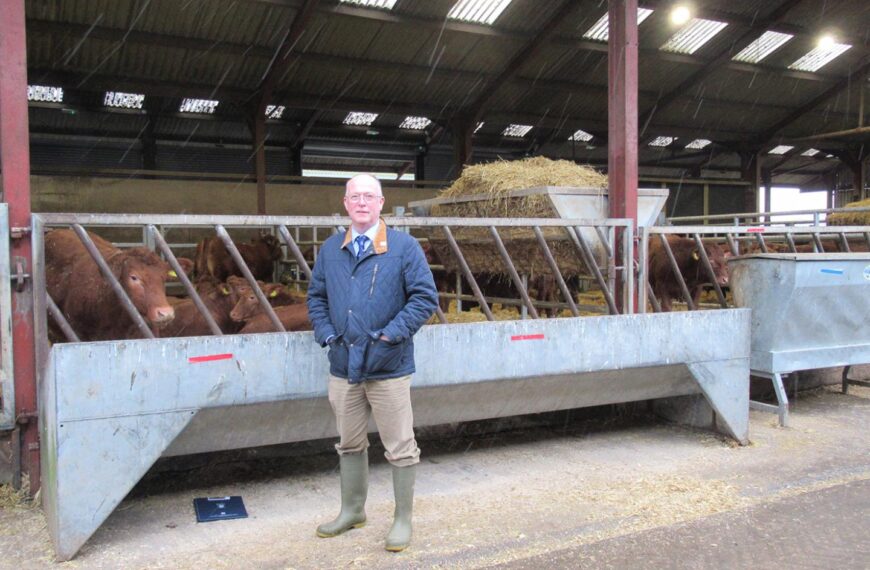 Switching to maize silage may&hellip;