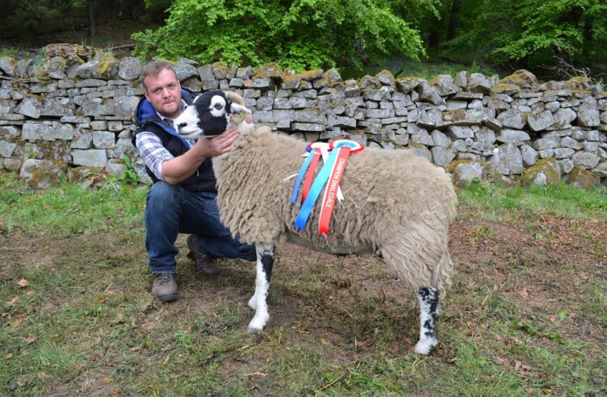 Ewe takes top spot at&hellip;