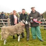 £50,000 ram is top in Swaledale sheep&hellip;