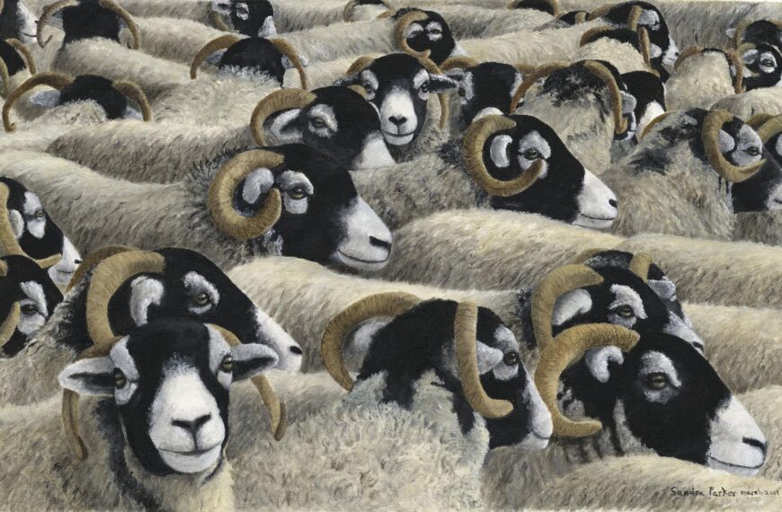 Artist’s love affair with hardy&hellip;
