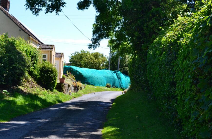 Villagers oppose anti-bird nets put&hellip;