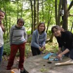 Forest sessions help combat depression