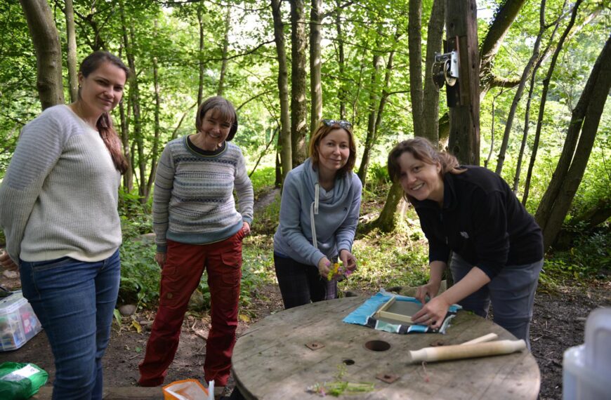 Forest sessions help combat depression
