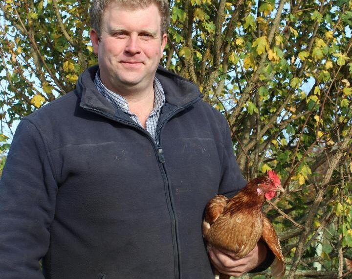 William’s hens are happy to&hellip;