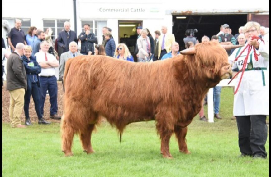 Top results from Great Yorks…
