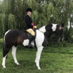 Charlotte to appear at HOYS for fifth&hellip;
