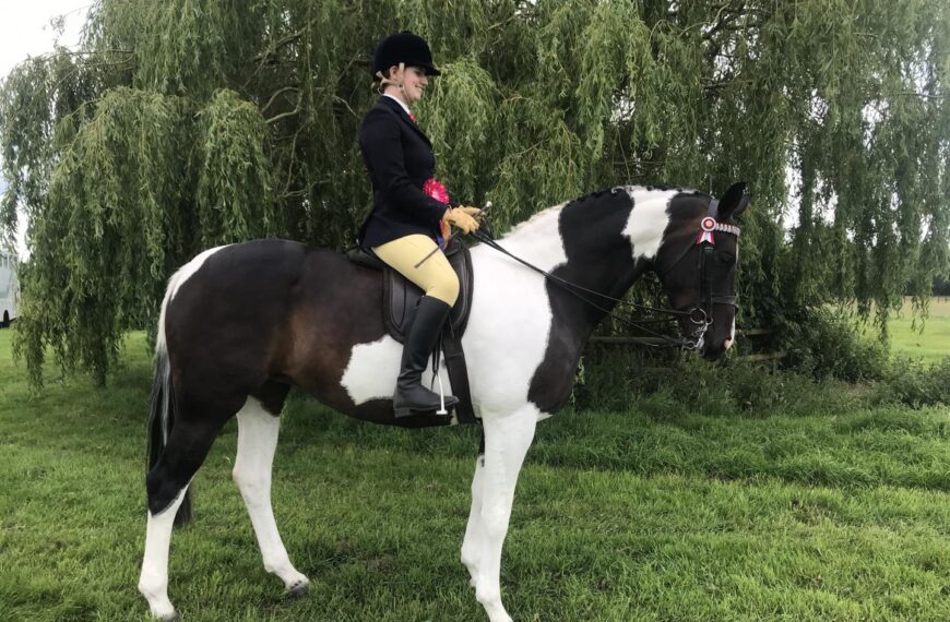 Charlotte to appear at HOYS for fifth time