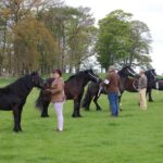 Dales Pony Show cancelled due to outbreak&hellip;