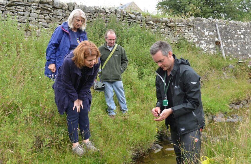 Ark’ will ensure survival of native crayfish