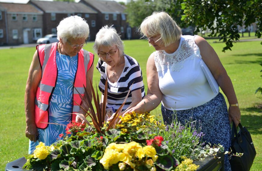 Blooming West Auckland wins praise&hellip;