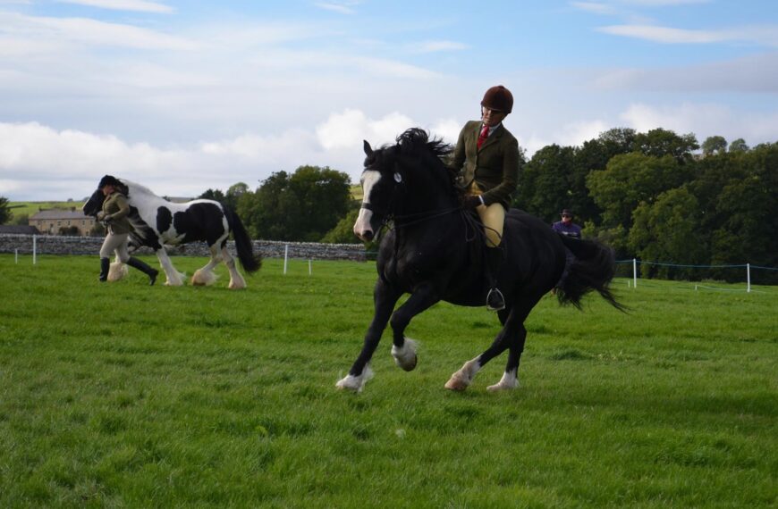 Horse and pony classes will&hellip;