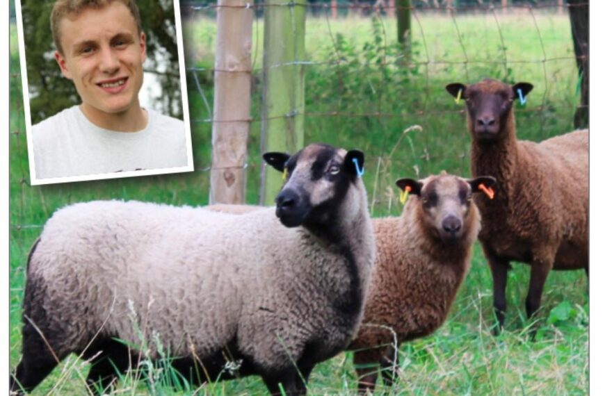 James gets a taste for…
