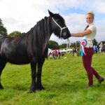 Horses and donkeys entered into Eggleston Show&hellip;