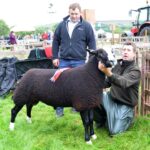 Success for dale entrants at Brough Show
