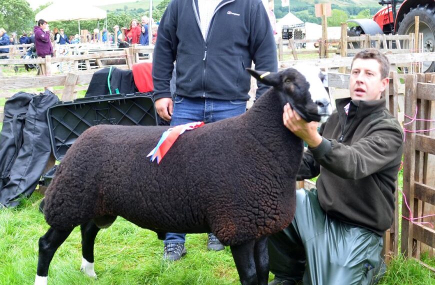Success for dale entrants at&hellip;