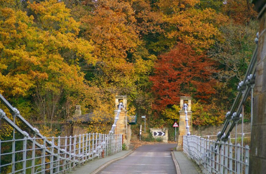 Bridge closes for months as&hellip;