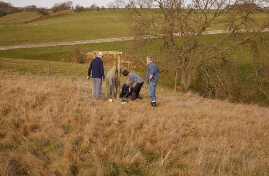 Trees for Teesdale’s plea for&hellip;