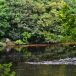 Probe launched after discharge spotted in the&hellip;