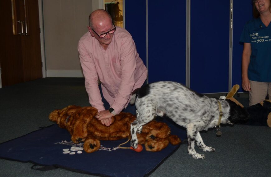 Course teaches owners how to…