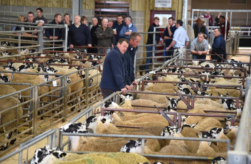 Early sales breed confidence for&hellip;
