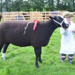 Terrier racing, perfect produce and a day&hellip;
