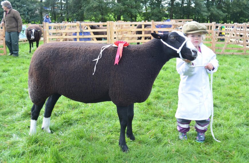 Terrier racing, perfect produce and…