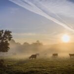 Shake up over farm tenancies