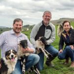 Sheep business earns top award