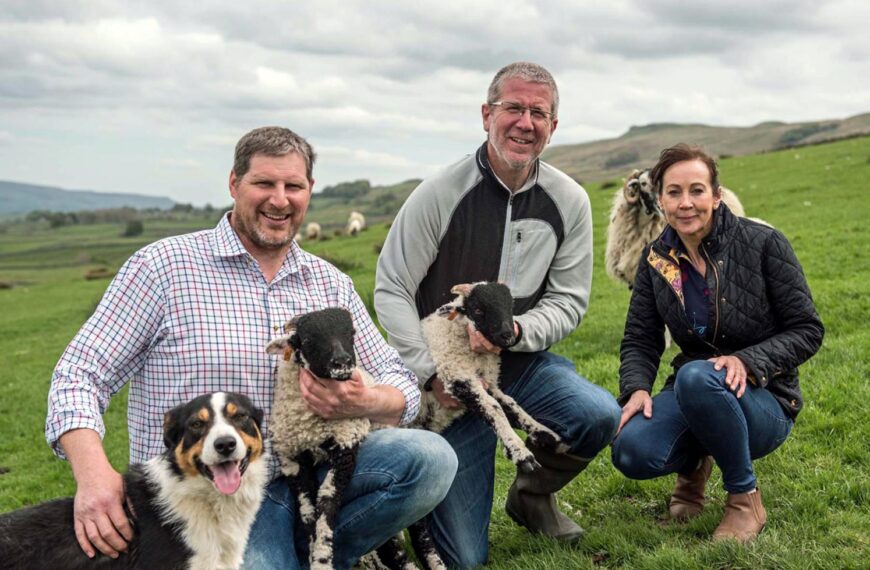 Sheep business earns top award
