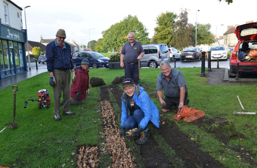 Thousands of bulbs planted in&hellip;