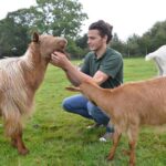 Teesdale animal sanctuary says ‘au revoir’ to&hellip;