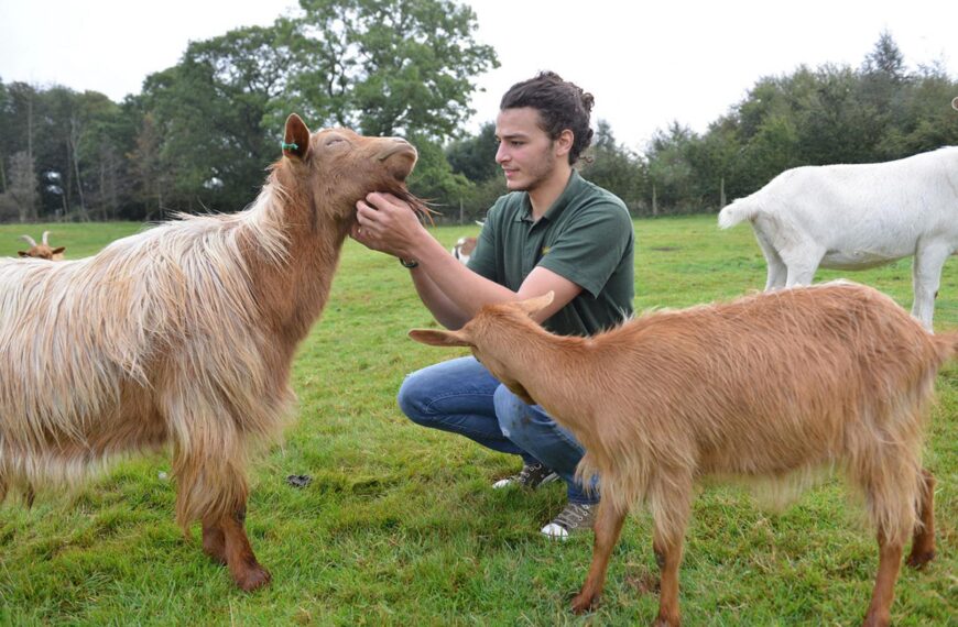 Teesdale animal sanctuary says ‘au&hellip;