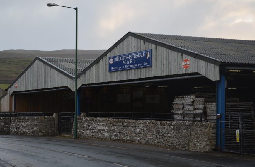 H&H Group reports large drop&hellip;