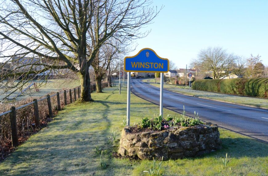 Appeal for witnesses after nonagenarian&hellip;