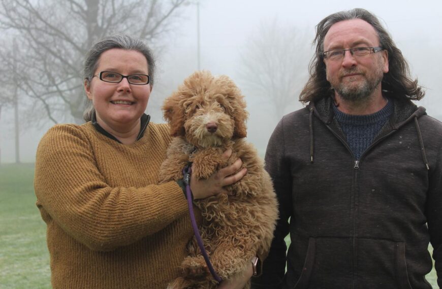 Swapping classrooms for canines