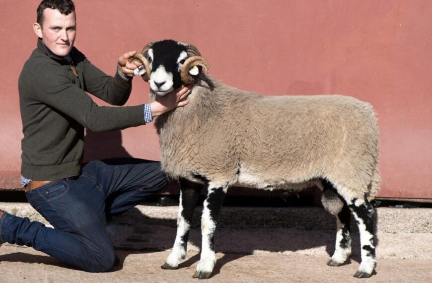 Dale farmers do it again&hellip;