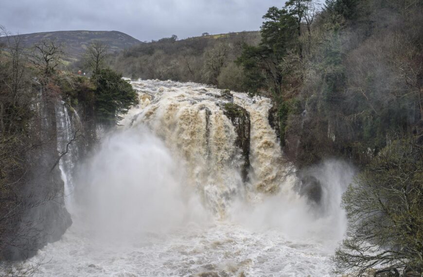 Storms led to significant fish…